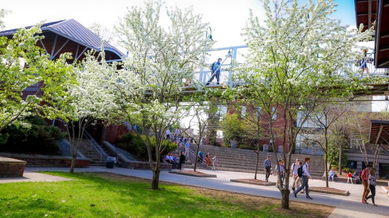 St. Johnsbury Academy